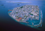 El site Bored Panda estima que las islas Maldivas se inundan a causa de la accion humana y el cambio climático se calcula que les quedan unos 50 años a flote